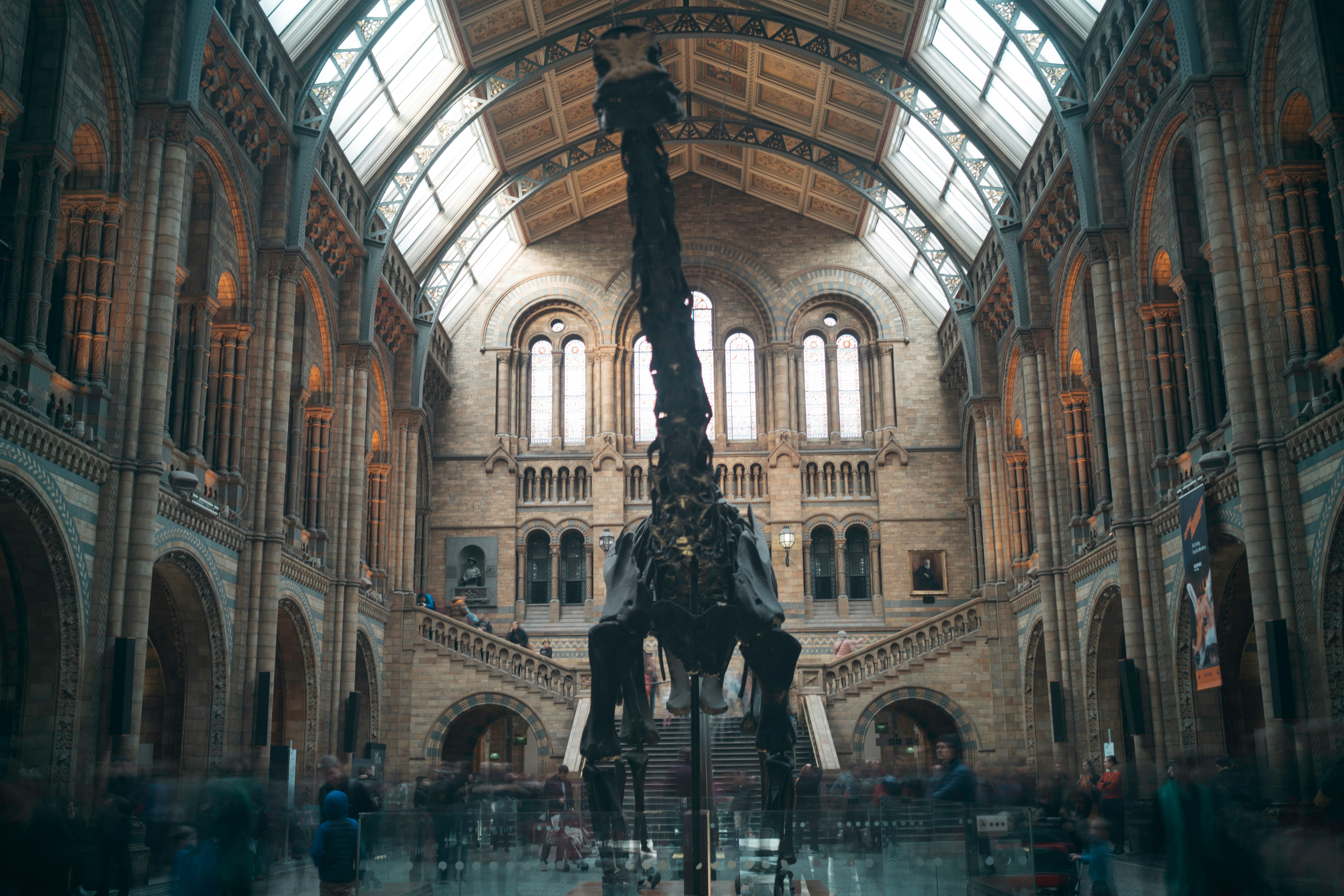 black metal dinosaur inside museum surrounded with people during daytime